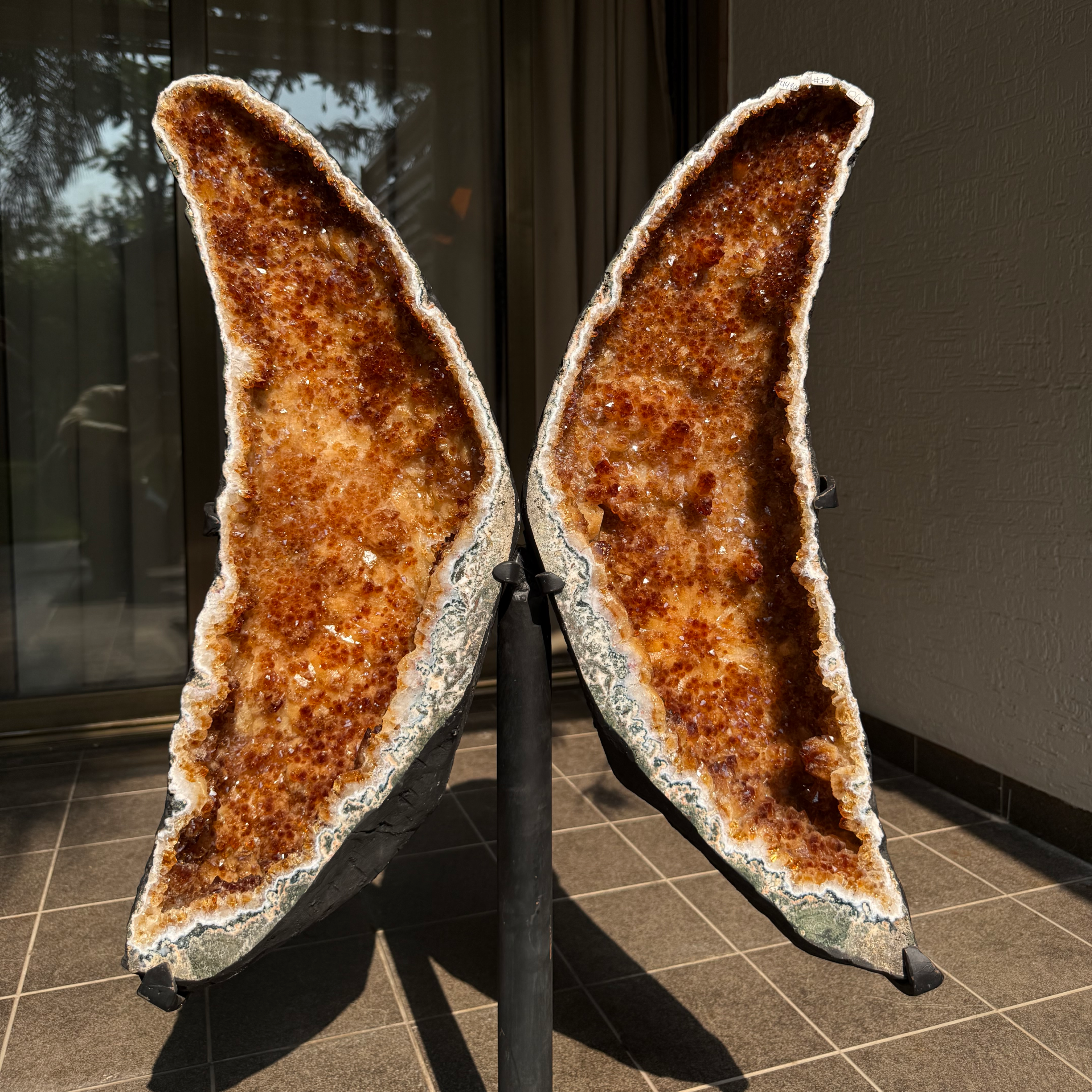 Rā Citrine Butterfly Geode