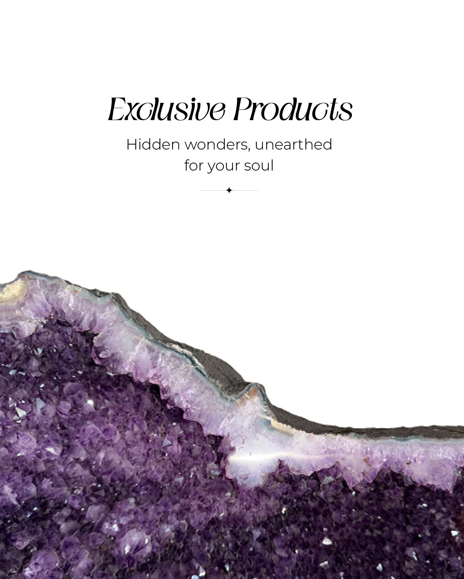 Website_Banner-06.jpg